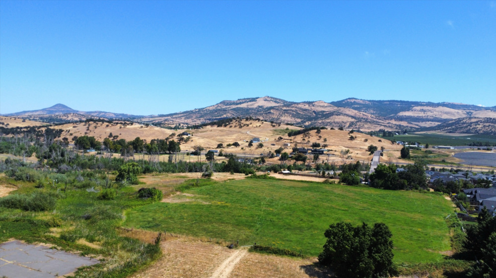 Oro Vista Gallery